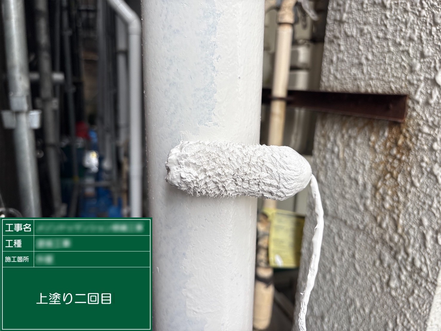 ⑥上塗り２回目